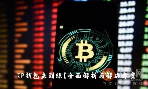  TP钱包未到账？全面解析与解决方案