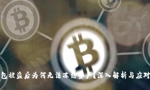 TP钱包被盗后为何无法冻结资产？深入解析与应对策略
