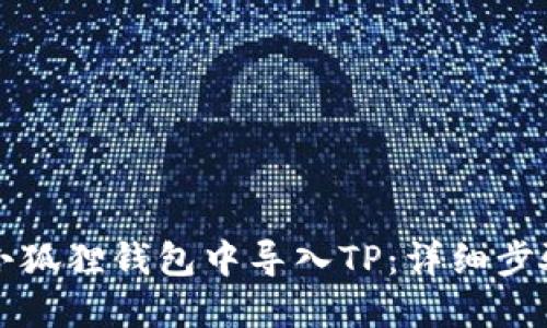 如何在小狐狸钱包中导入TP：详细步骤与指南