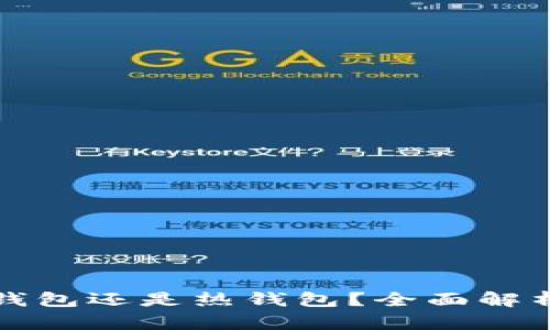 TP钱包是冷钱包还是热钱包？全面解析及使用指南