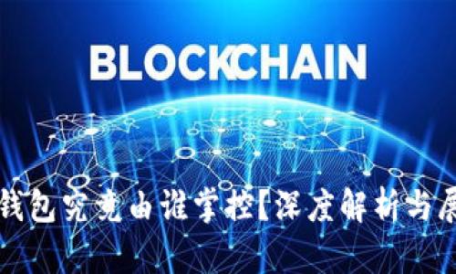 TP钱包究竟由谁掌控？深度解析与展望