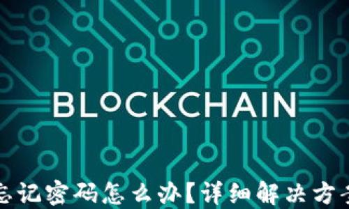 
TP钱包忘记密码怎么办？详细解决方案与指南