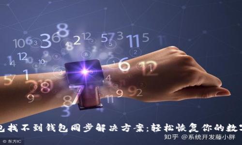 TP钱包找不到钱包同步解决方案：轻松恢复你的数字资产