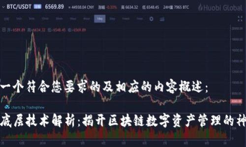 下面是一个符合您要求的及相应的内容概述：

TP钱包底层技术解析：揭开区块链数字资产管理的神秘面纱