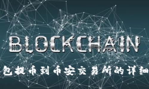 TP钱包提币到币安交易所的详细指南